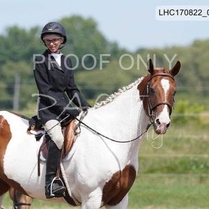 Meet your Posher, Lucy